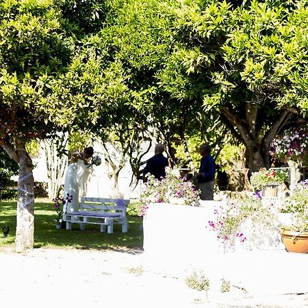 Bed and Breakfast La Purissima à Alghero Extérieur photo